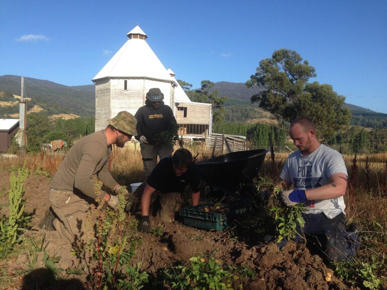 South Africa: Markets Sell 76 Million 10-kg Potato Bags in 37 Weeks as Limpopo Volumes Fall 19% 3 A potato harvest (not South Africa)