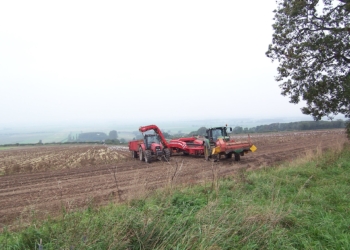 Rekòt pòmdetè toupre Bonby, North Lincolnshire, Angletè