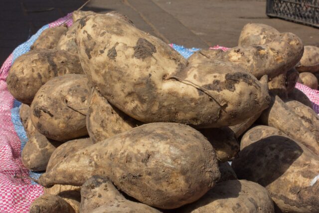 Patate nantu à un saccu