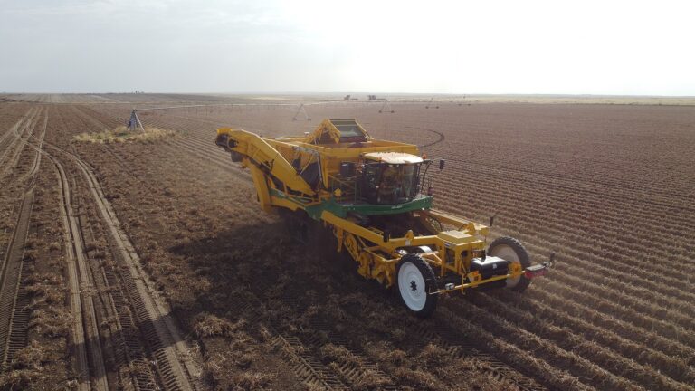 Canadá: Alberta e Manitoba cultivam 48.5% das batatas, com a produção triplicando desde 1961 6 Colheita de batatas perto de Rolling Hills, Alberta, Canadá.