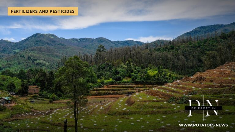 ഇന്ത്യയിലെ നീലഗിരിയിലെ പുതുതായി നട്ടുപിടിപ്പിച്ച പാടങ്ങളിലെ വളം സഞ്ചികൾ