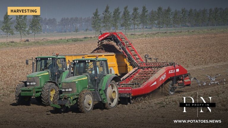 Estonia: Potato Crop Falls to 60,170 Tonnes on Just 2,910 Hectares 2 Potato harvest with tractors (not Estonia)