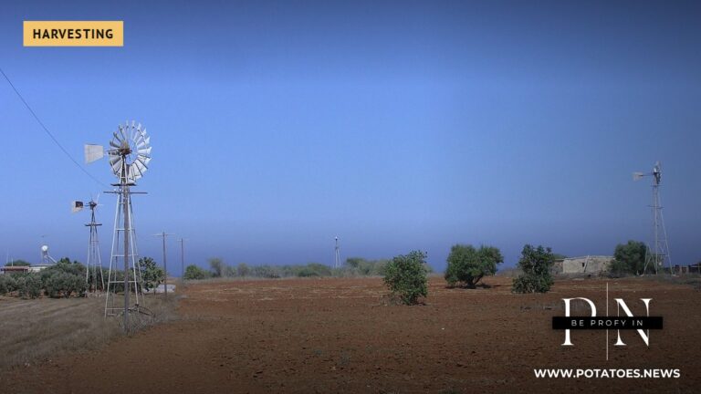 Red soil of the Kokkinochoria potato area, Cyprus