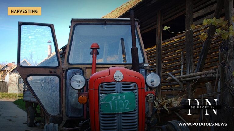 Serbia: Potato Yield Doubles to 28 t/ha Since 2007 as Area Falls 59% and EU Supplies Reach 54,453 Tonnes 1 Autumn harvest in a village in Serbia