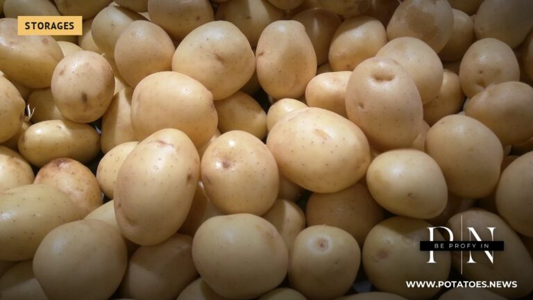 सुपरमार्केट में खुले में रखे आलू (ब्रिटेन में नहीं)