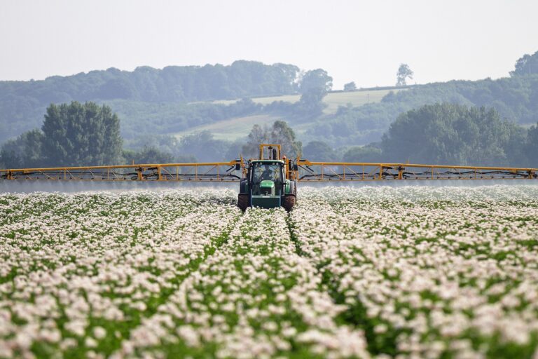 Holland: PFAS-pestitsiidide kasutamine peaaegu kahekordistus 465,000 5 kg-ni, kuna kartulilehemädaniku tõrje võib keelustada Kartulipõllu pritsimine hilise lehemädaniku vältimiseks