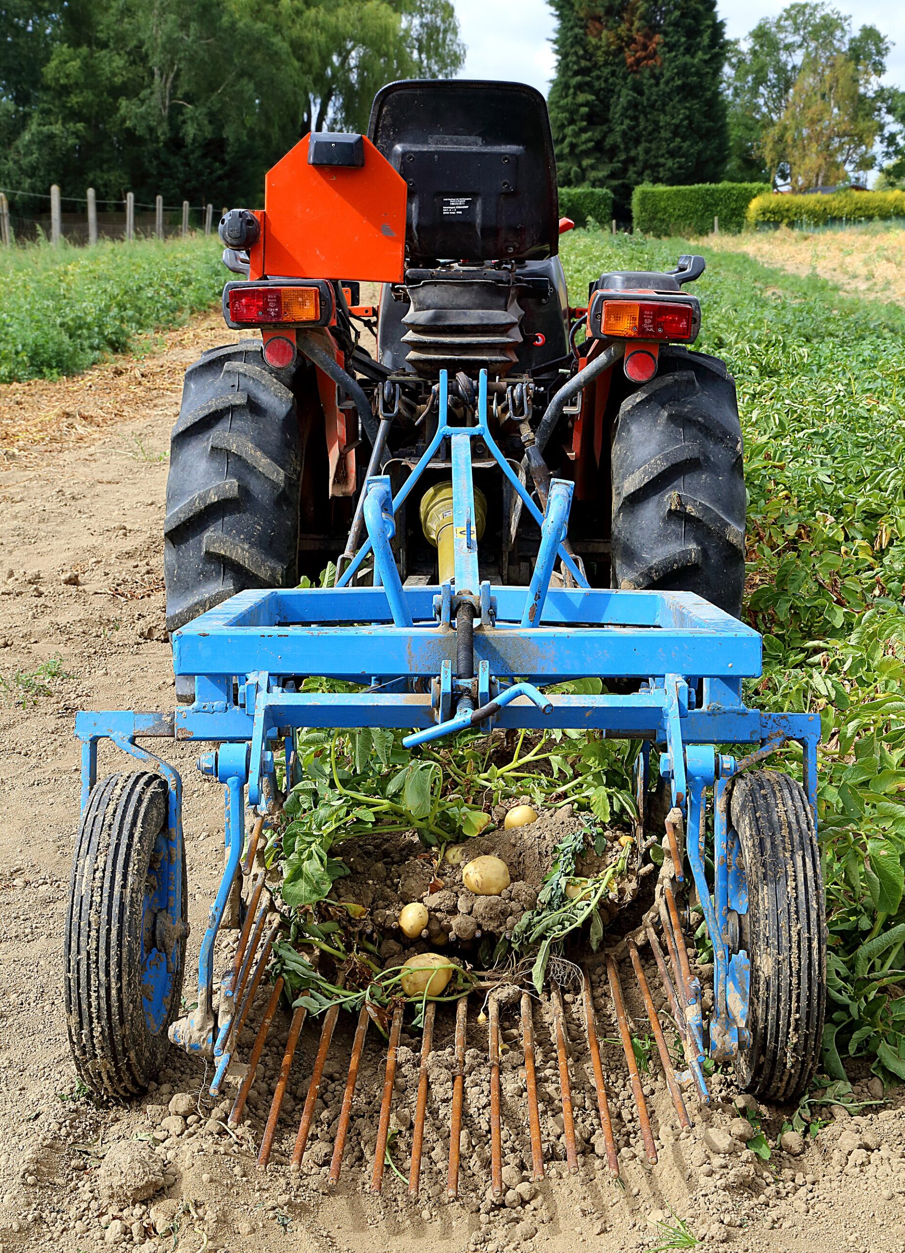Potato harvester on a farm in Herseaux, Belgium