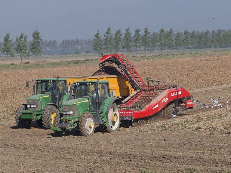 Tractor with trailed potato harvester in a Dutch field