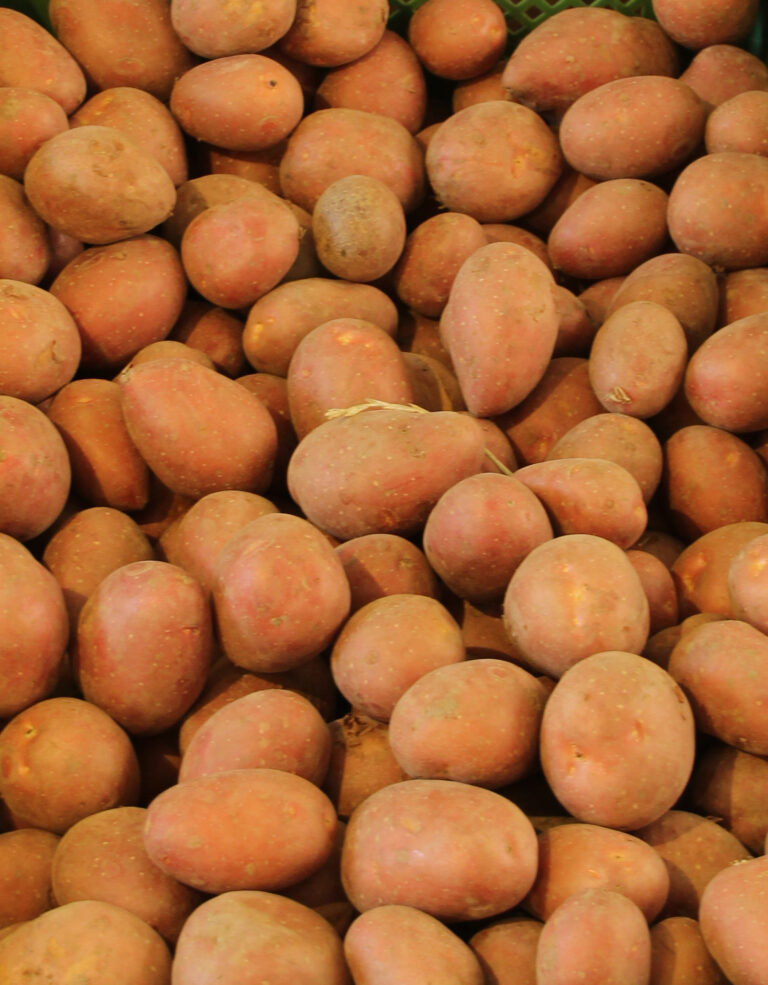 Yellow, White or Cream: How Flesh Color Decides a Potato's Market 1 Potatoes of a yellow-fleshed variety (illustrative)