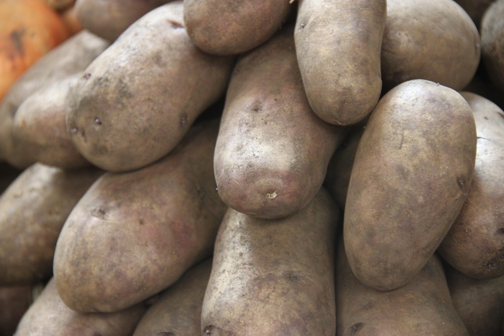 Potatoes on sale at Danilovsky Market, Moscow