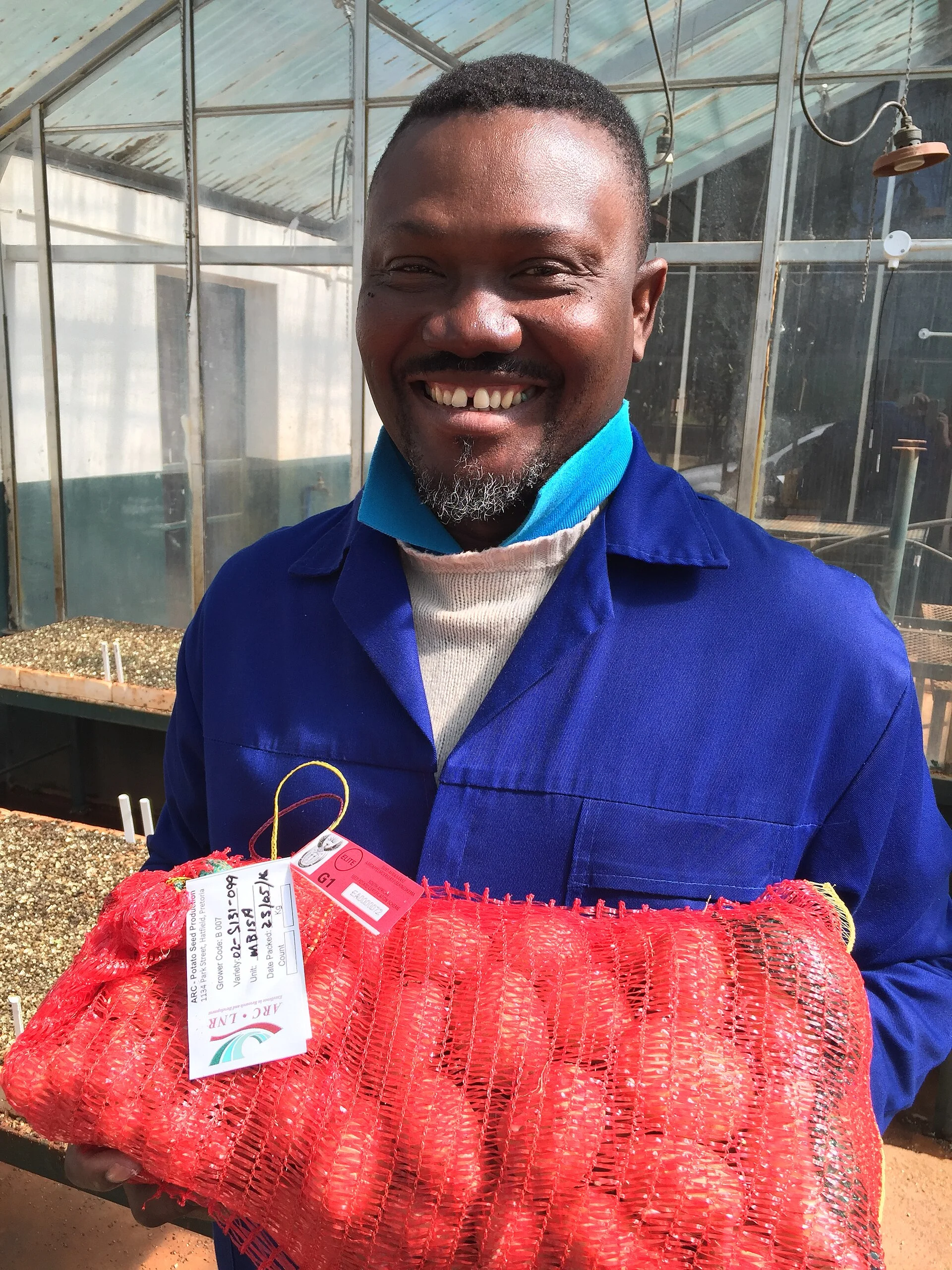 Certified seed potato tubers, South Africa