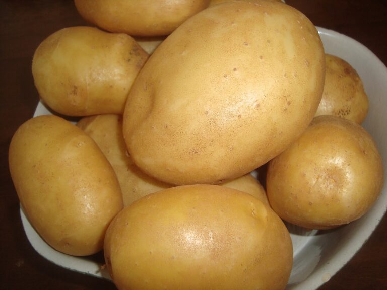 Spain: Potato Crop Seen at 1.8 Million Tonnes, Down 7.7% on Drought 6 Freshly dug potatoes from a family farm in Spain