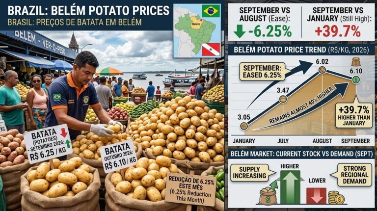 Brazil: Belém potato prices ease 6.25% in September but remain almost 40% higher than in January