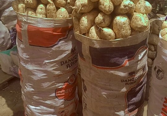 سیب‌زمینی ایرلندی در بازار جوس ۰۴ ۱