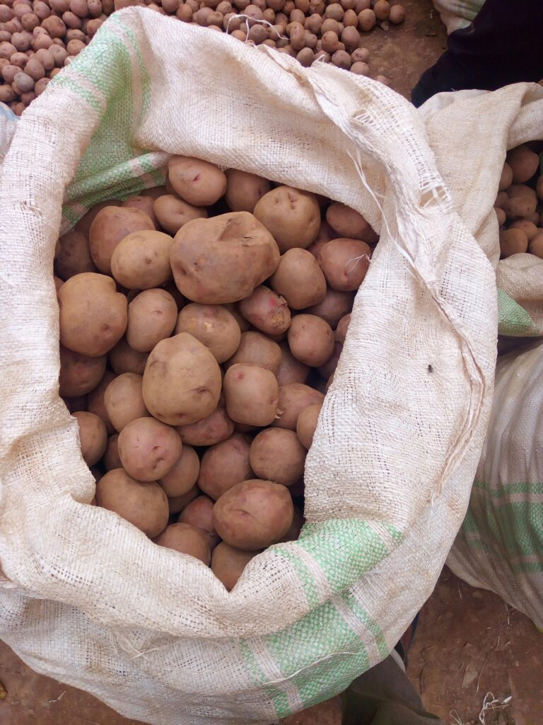 Sacks of potatoes