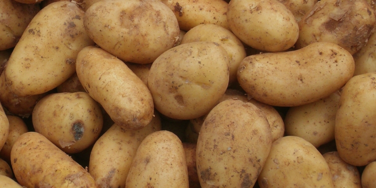 Kartoffeln Markt