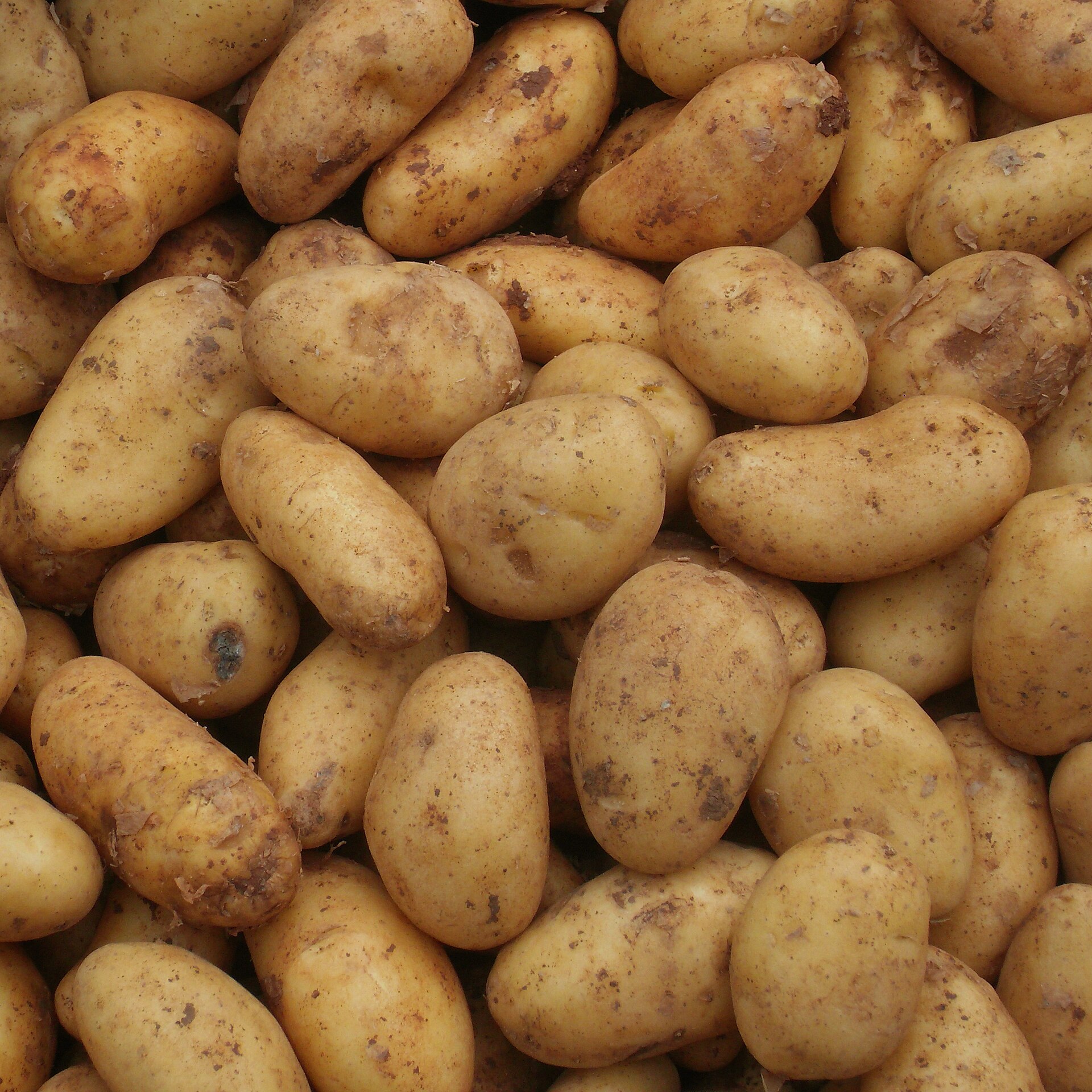 Potatoes at a market