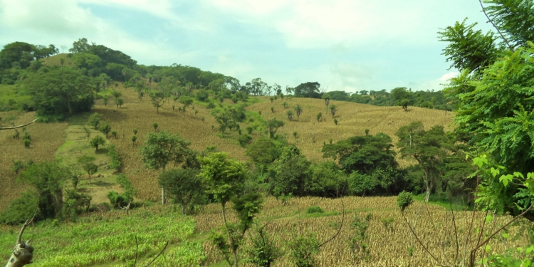 San Pablo Tacachico El Salvador