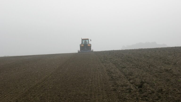 Contractor machinery at work