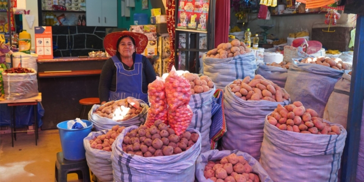 ຊິລີ: ລາຄາຂາຍສົ່ງມັນຕົ້ນໃນ La Calera ຫຼຸດລົງຕໍ່າສຸດໃນຮອບ 30 ມື້, ຕໍ່າກວ່າມາດຕະຖານແຫ່ງຊາດ 45 ເຖິງ 19.7% Vendedora de papas en el Mercado Central de Punata