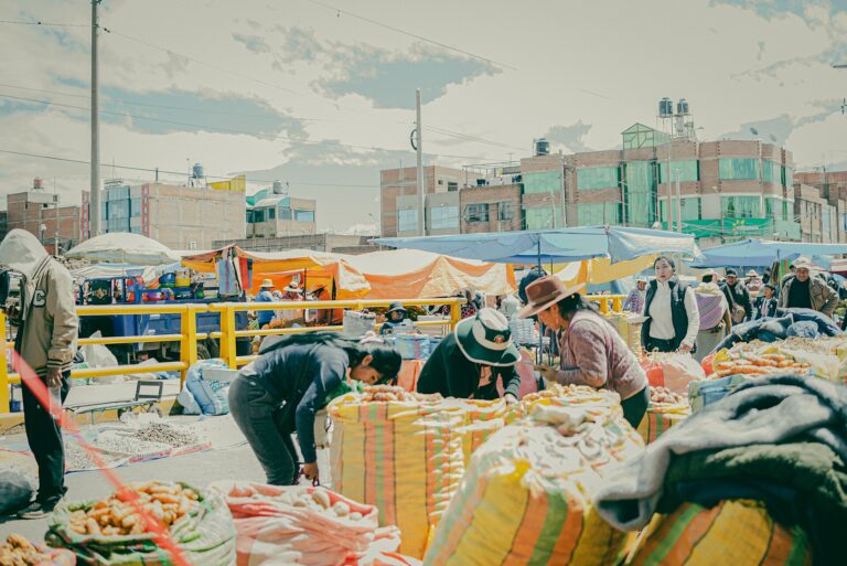 Potatoes for sale