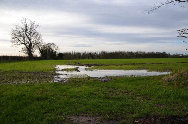 Waterlogged field