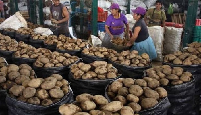 Peru: Žuti krumpir dosegao je 5 dolara po kilogramu u Limi zbog straha od El Niña koji utječe na cijene hrane