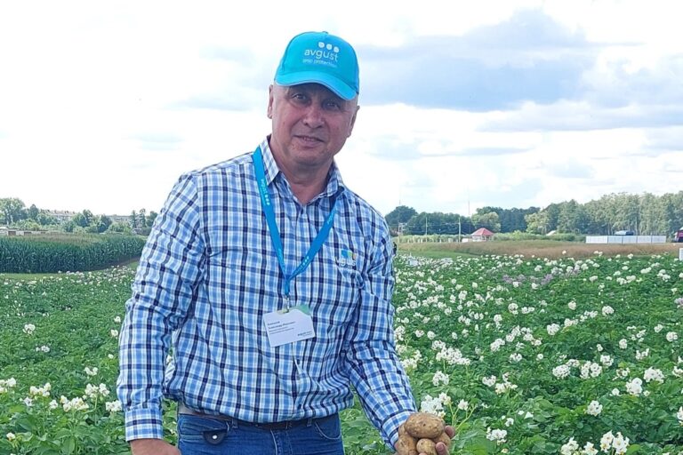 Alexander Aniskov, head of the potato group at Avgust, in a potato field