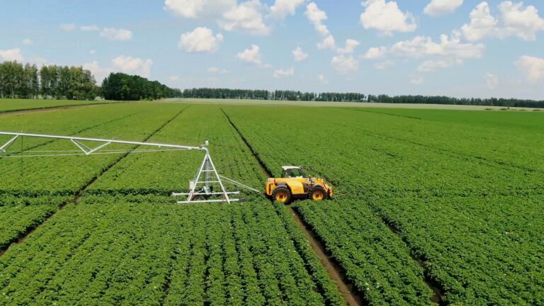 KOBLiK sprinkler irrigation machine in a potato field