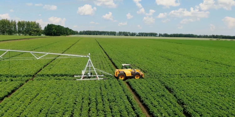 koblik is110 irrigation potatoes scaled