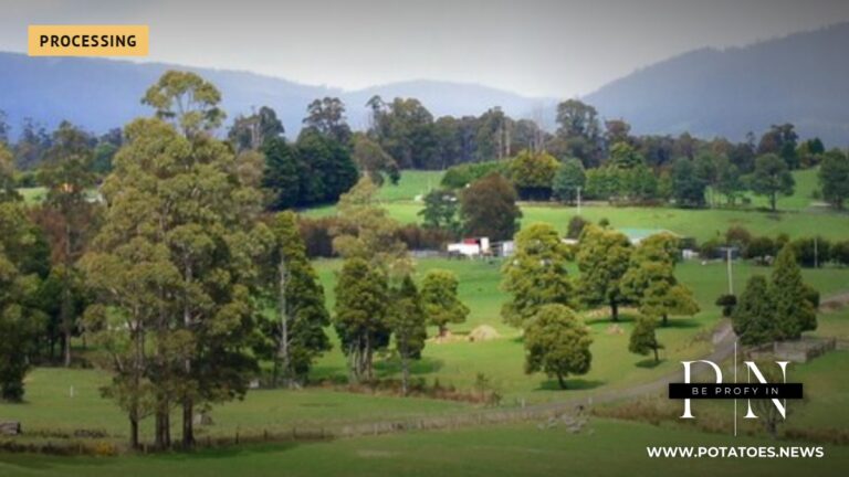 Australia: McCain Seeks $15 per Tonne Cut for Tasmanian Processing Potatoes After Simplot Deal 2 Farmland in the Tamar Valley, Tasmania