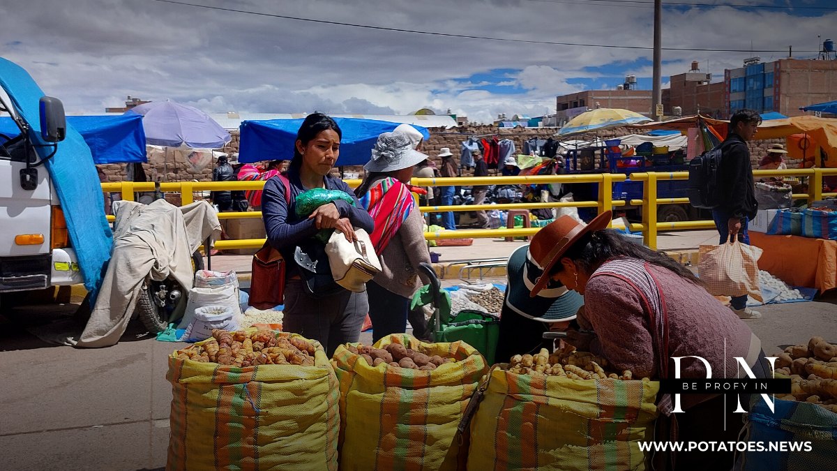 Sacks of potatoes at a Sunday market in Juliaca, Peru