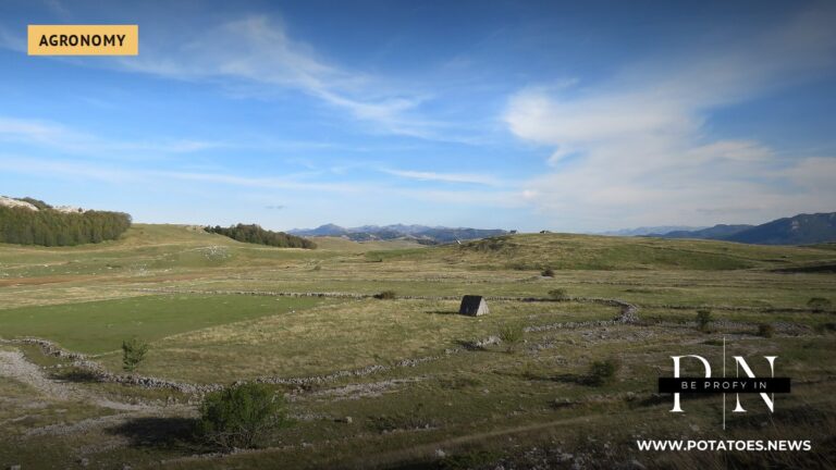 Fields south of Žabljak, Montenegro