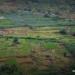 Sri Lanka: Potato Imports Reach 186,145 Tonnes in 2025, Far Above Local Harvest 2 Vegetable farms in the Nuwara Eliya region, Sri Lanka