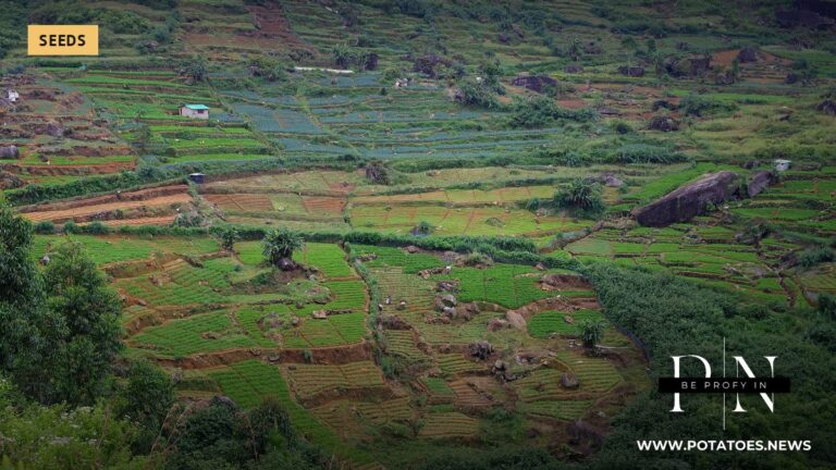 Vegetable farms in the Nuwara Eliya region, Sri Lanka