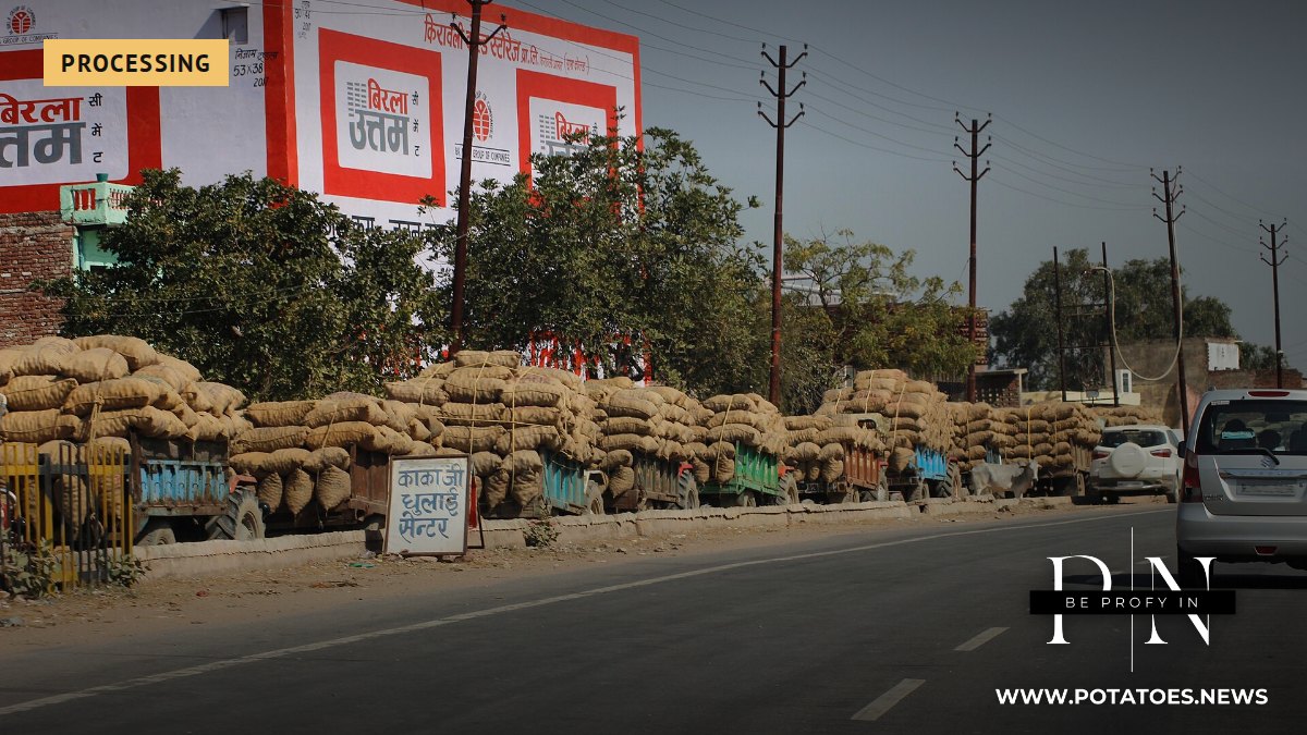 Patatas transportadas a una cámara frigorífica en India.