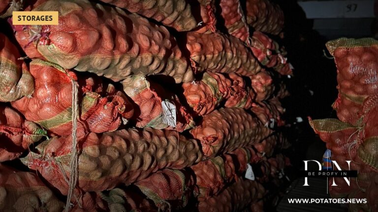 Global: Ethylene at 4–10 ppm and Spearmint Oil Replace CIPC at 3–6 Times the Cost 2 Potatoes in a cold store at Harduaganj, India