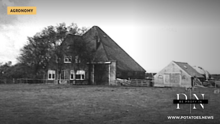 Ferme sur l'île de Texel, aux Pays-Bas