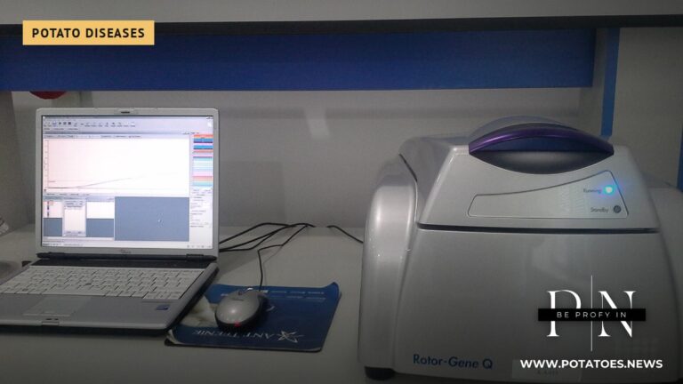 A real-time PCR device in a laboratory