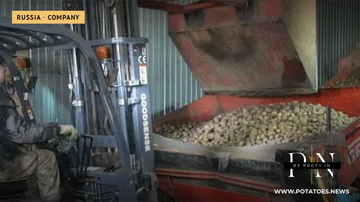 Nizhny Novgorod's First Agro-Aggregators Reshape Potato Supply Chains, Linking 38 Farmers to Federal Retailers 1 Nizhny Novgorod’s First Agro-Aggregators Reshape Potato Supply Chains, Linking 38 Farmers to Federal Retailers
