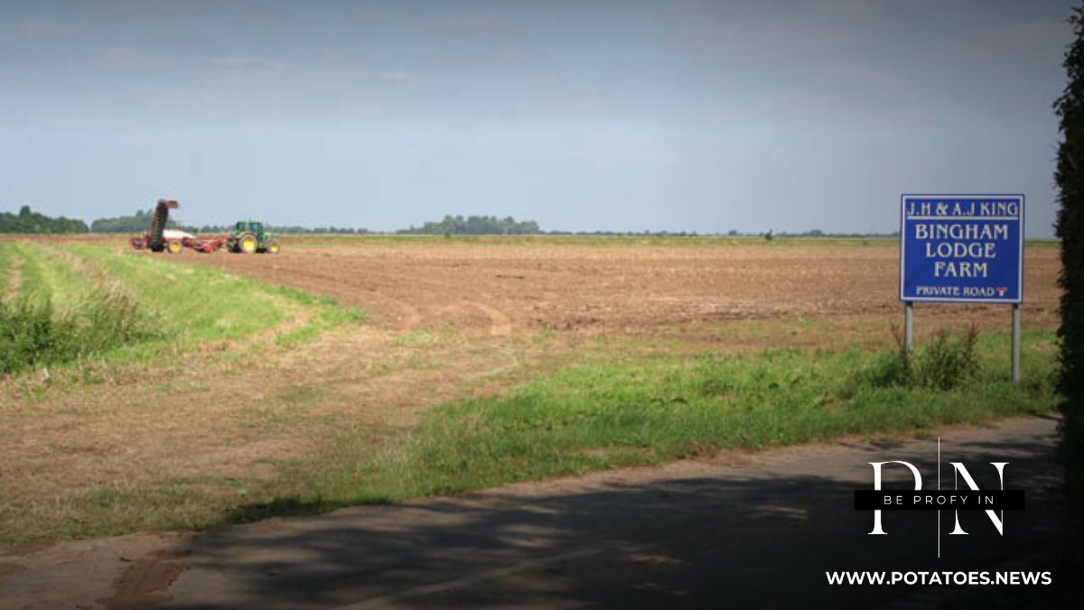 Global: Haulm Killing Method Shapes Skin Set and Harvest Quality
