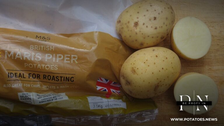 Global: Packaging Innovation Targets Fresh Potato Shelf Life and Plastic Reduction