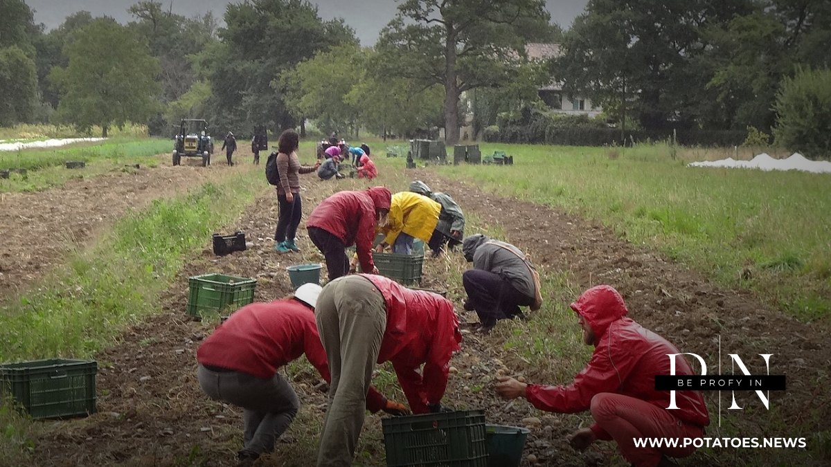 Duniani: Mabadiliko ya Tabianchi Yanasababisha Maamuzi ya Mipango ya Mavuno ya Awali