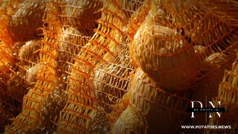 Argentina: Wholesale Potato Price Recovers 16.7% in September at Buenos Aires Central Market 4 Bagged potatoes at market