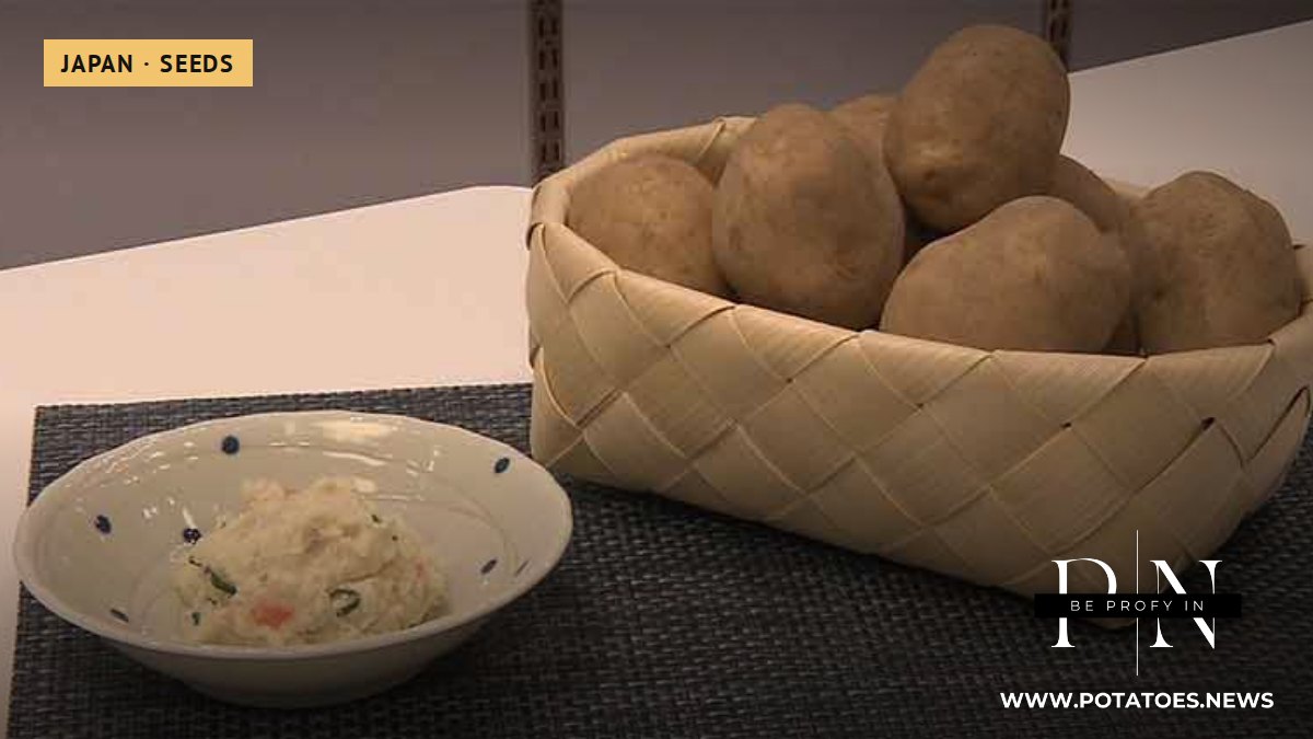 Titular: Empresas alimentarias japonesas optan por patatas resistentes a las plagas ante el creciente temor a la contaminación.