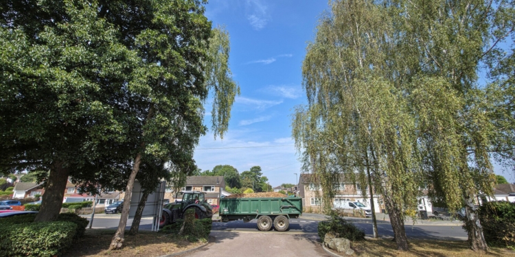 potato harvest geograph org uk 8130983