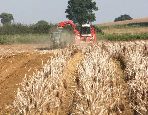 POTATOES NEWS Àkójọ ìwé ojoojúmọ́: Oṣù Kẹ̀wàá 19, 2026 4 ìkórè ọdún ń lọ lọ́wọ́ ní àgbègbè 982737