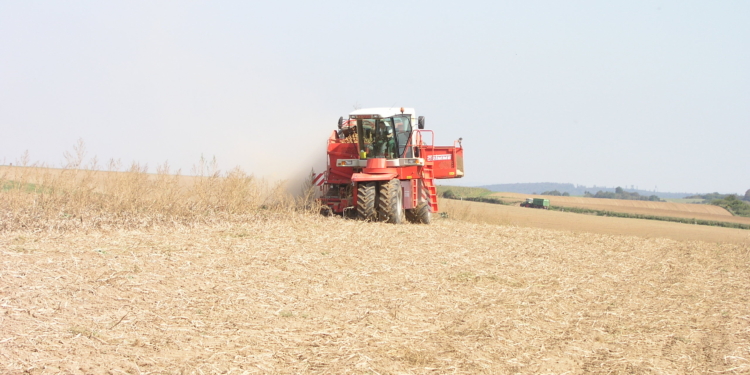 self propelled two row potato harvester