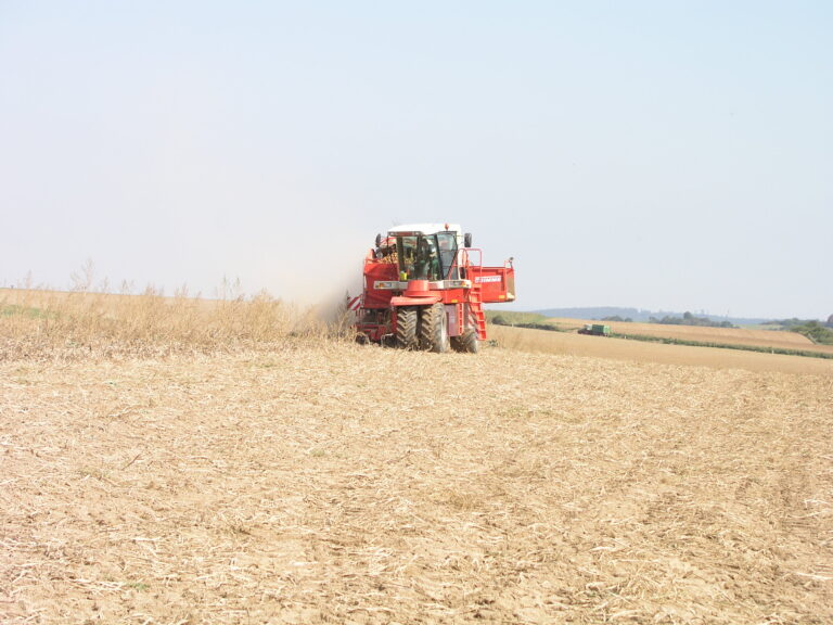 Self-propelled two-row potato harvester working in a dry field