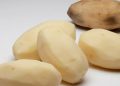 A Case Study in Regulatory Gridlock: The Seven-Year (and Counting) Saga of a GM Potato in South Korea
